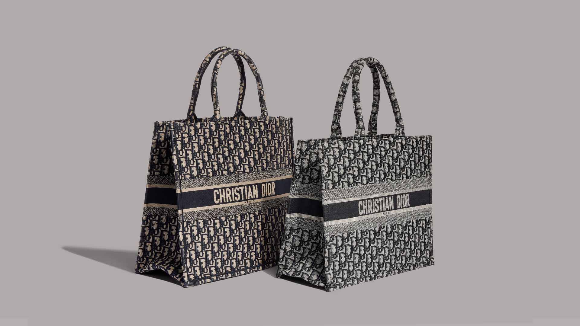 All About the Christian Dior Oblique Book Tote and How to