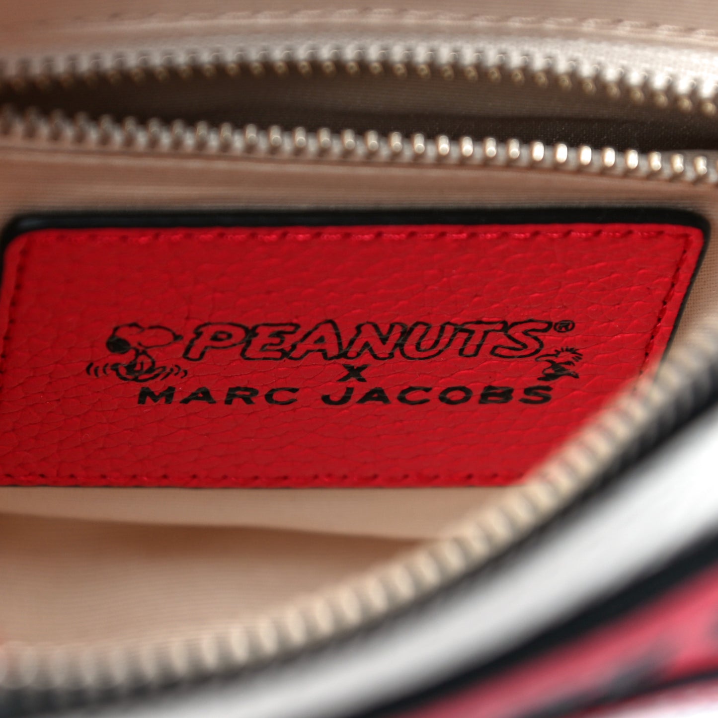 X Peanuts Calfskin The Box Crossbody Red