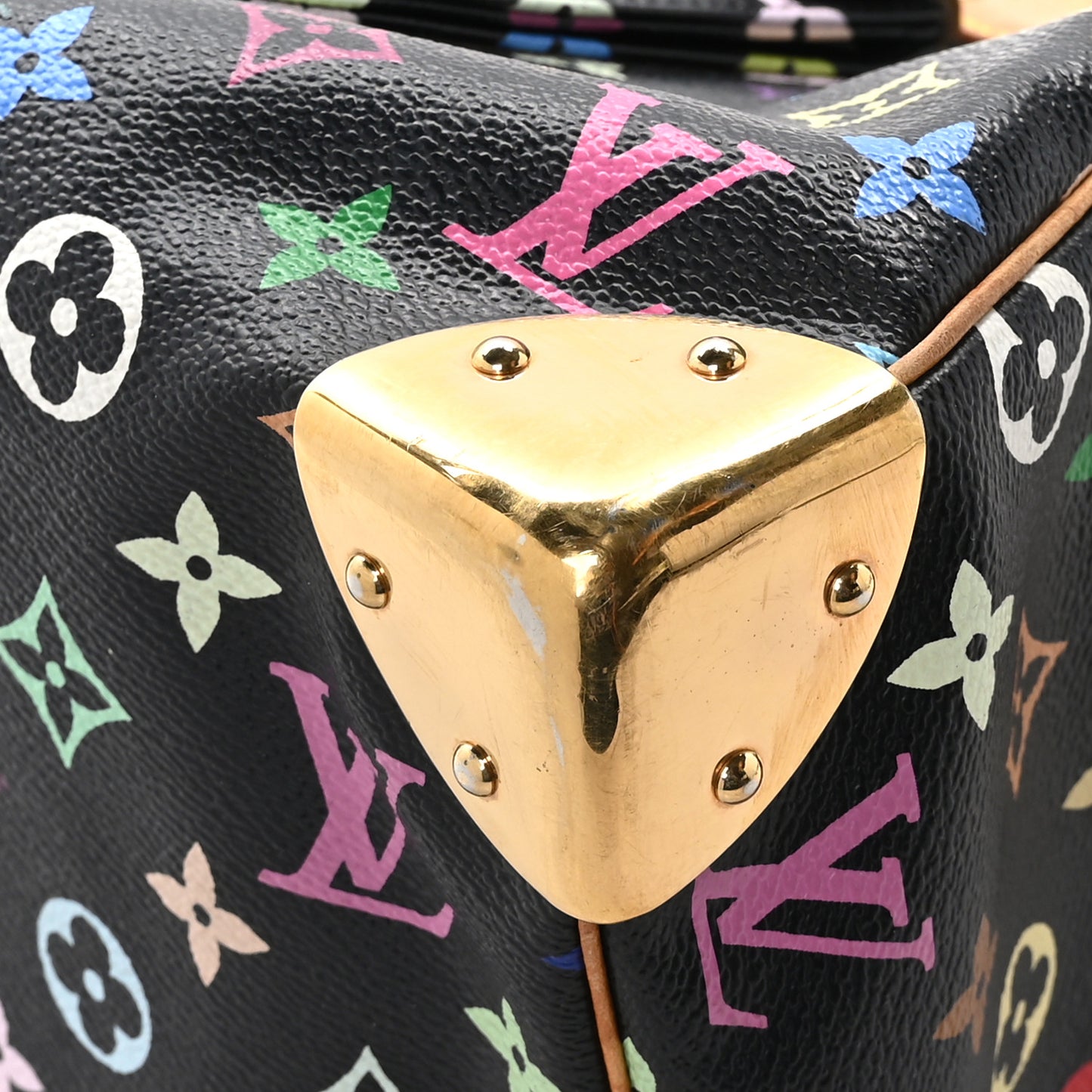 Monogram Multicolor Speedy 30 Black