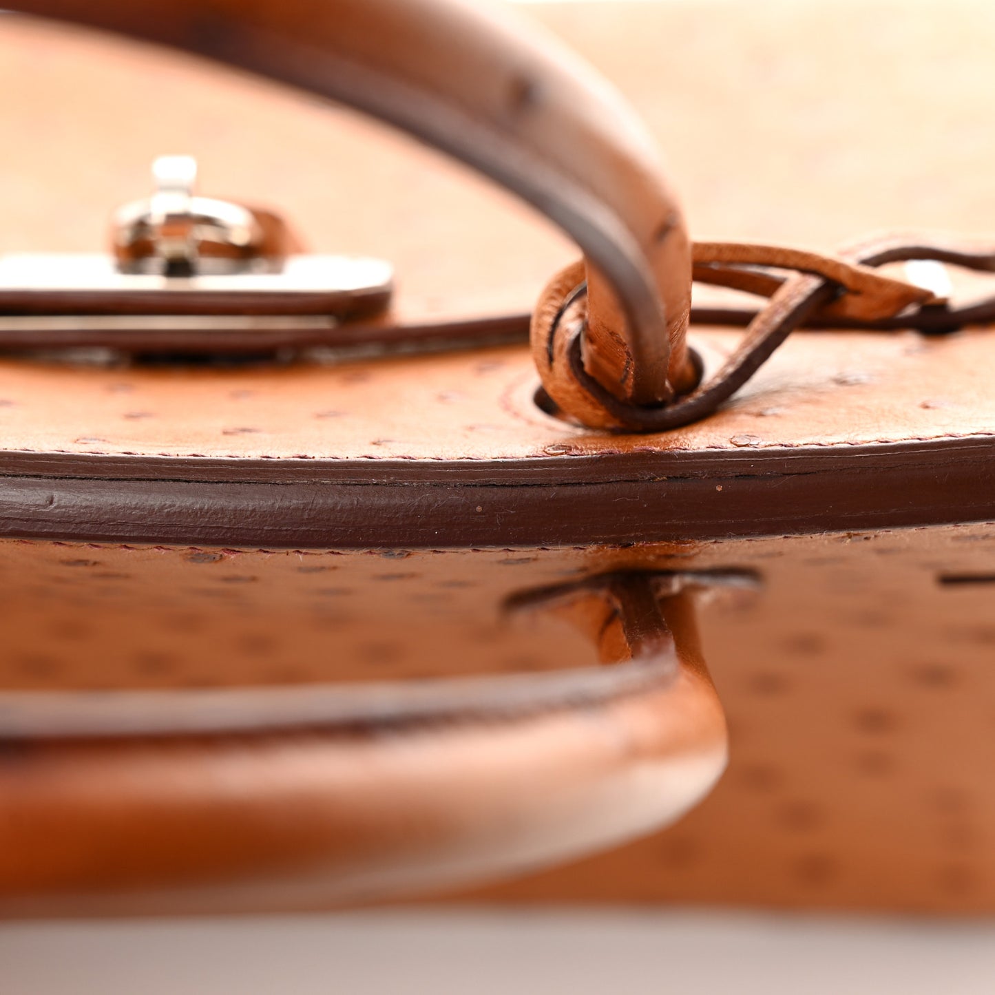 Ostrich Birkin 30 Gold