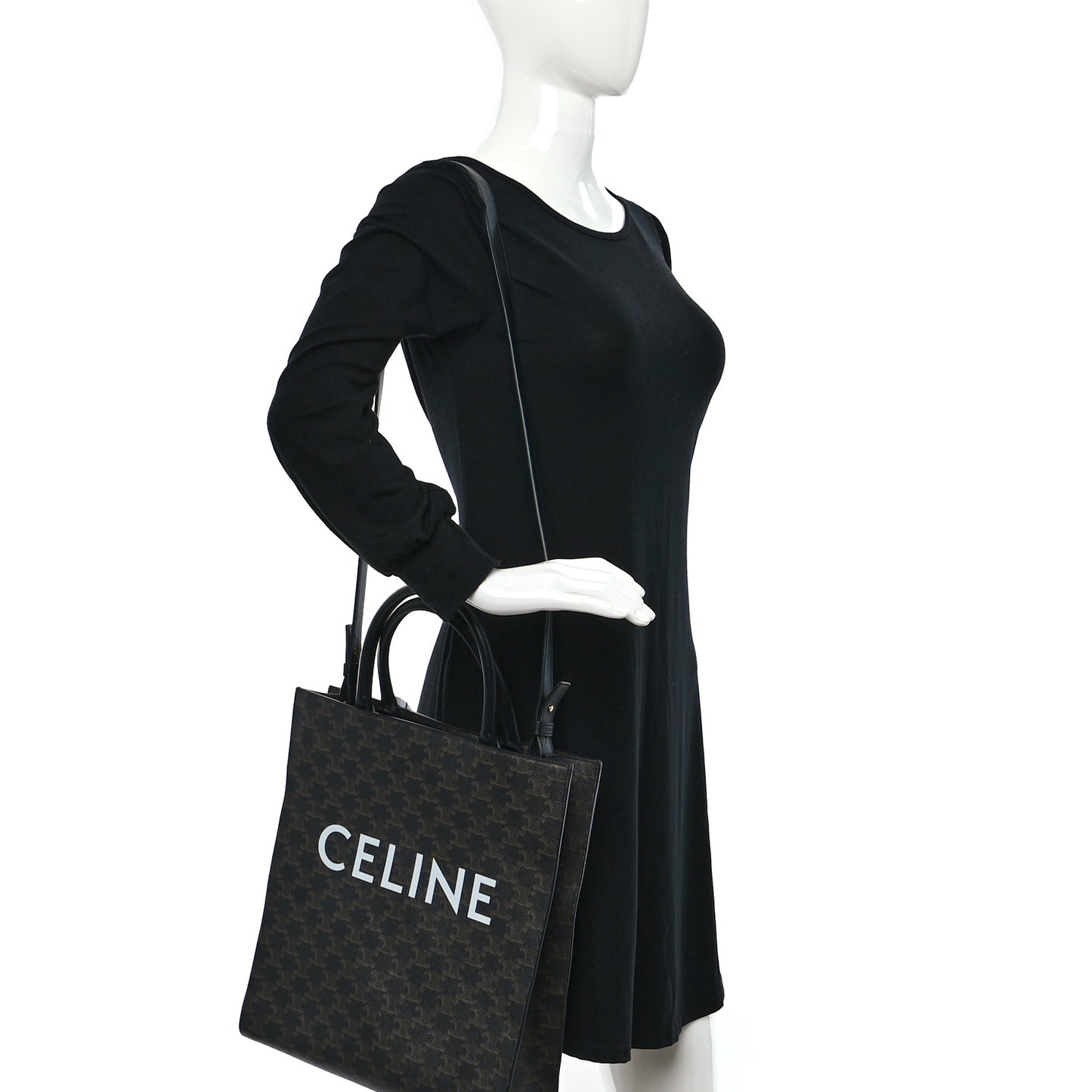 Triomphe Canvas Calfskin Medium Vertical Cabas Black