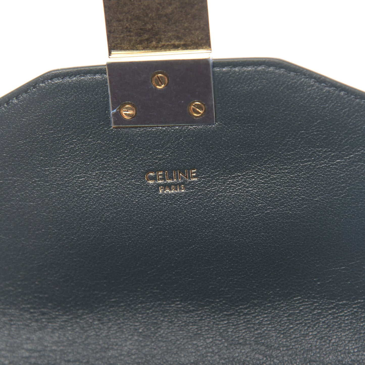 Shiny Calfskin Medium C Bag Amazone
