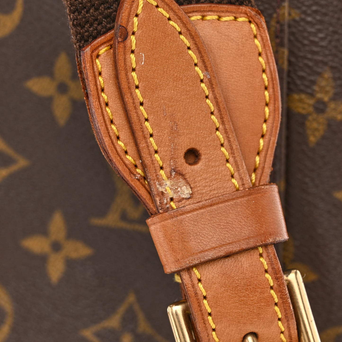 Monogram Montsouris GM Backpack