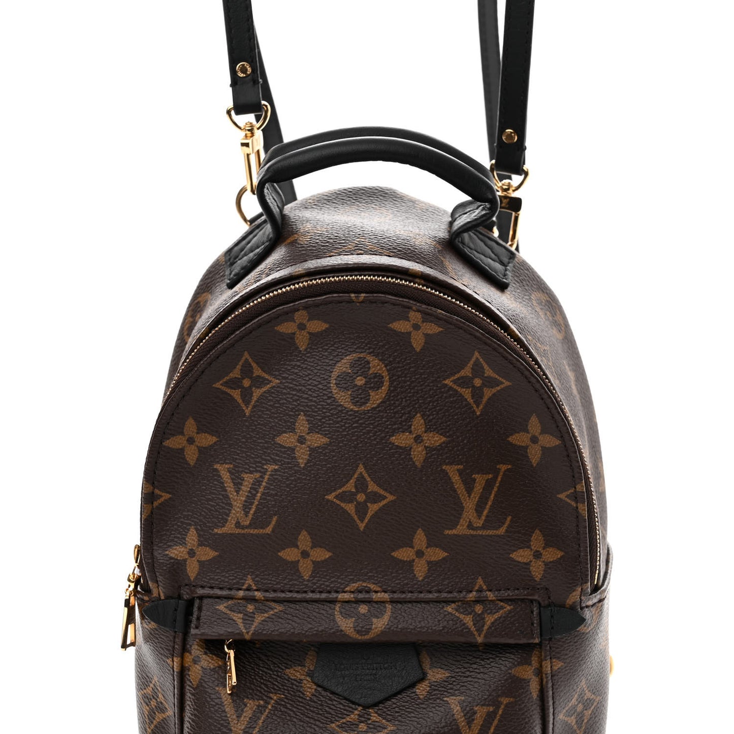 Monogram Palm Springs Backpack Mini