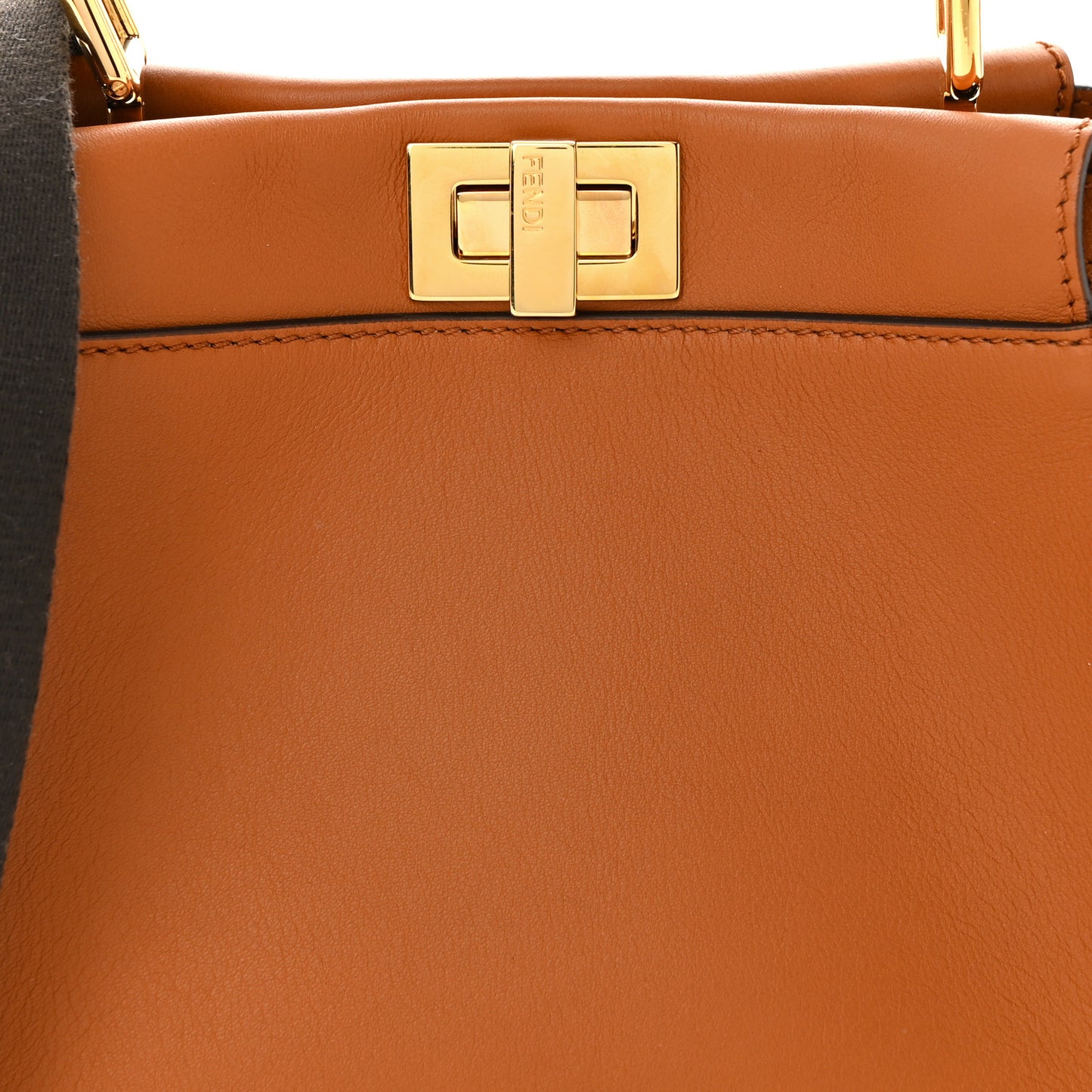 Vitello Seta Canvas FF Embroidered Mini Peekaboo Iconic Satchel Brandy Amazzonia