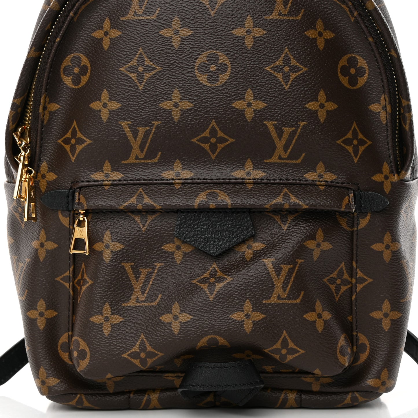 Monogram Palm Springs Backpack PM