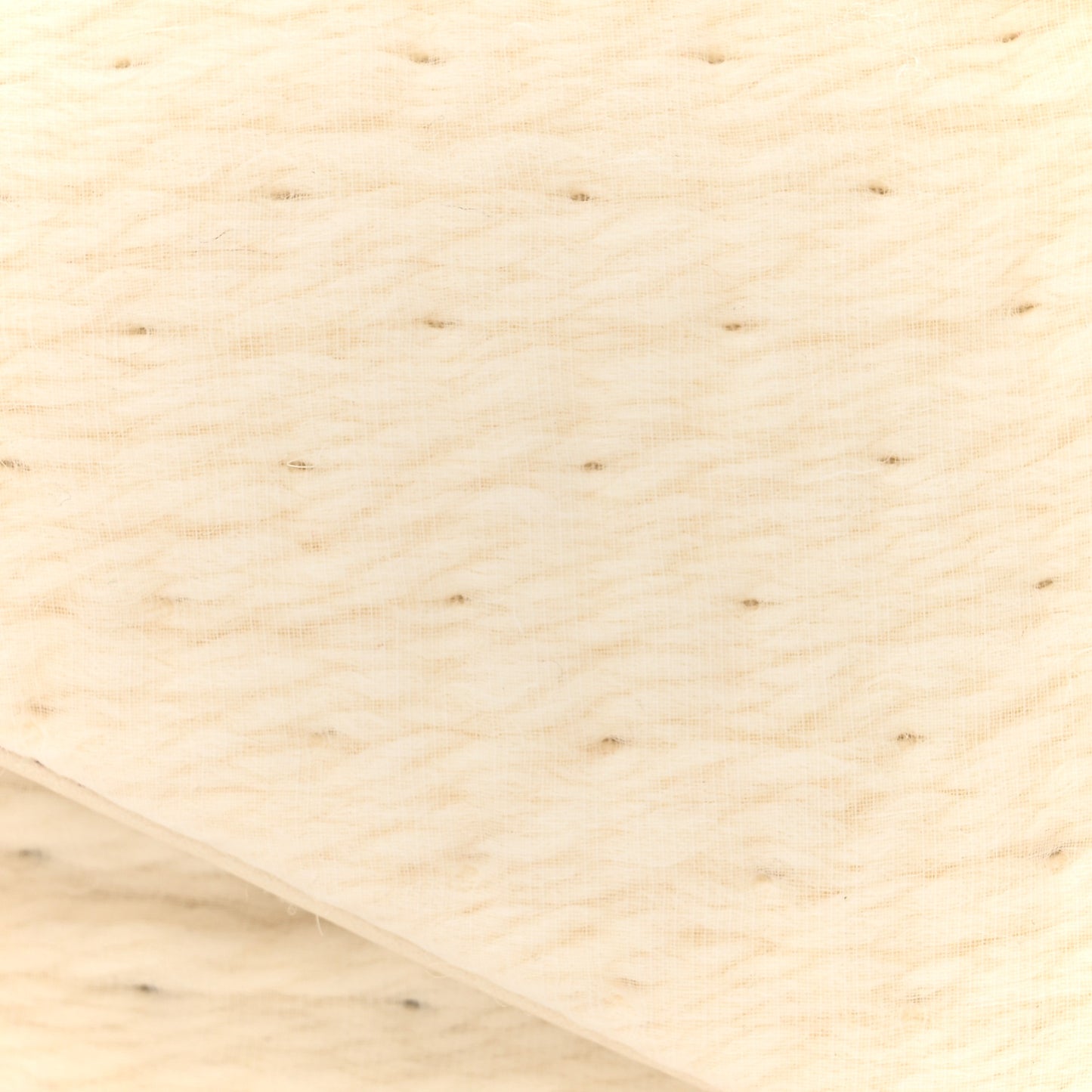 Organza Small Calypso White
