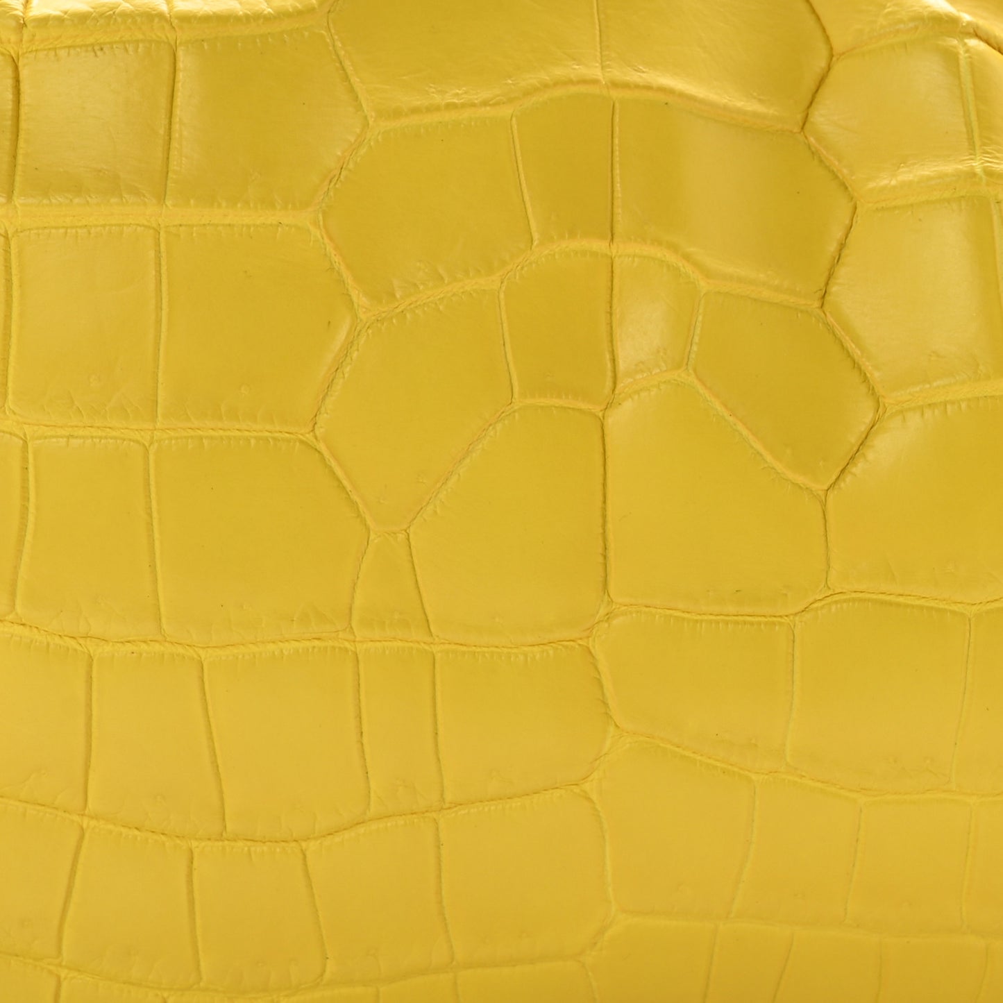 Crocodile The Pouch 20 Yellow