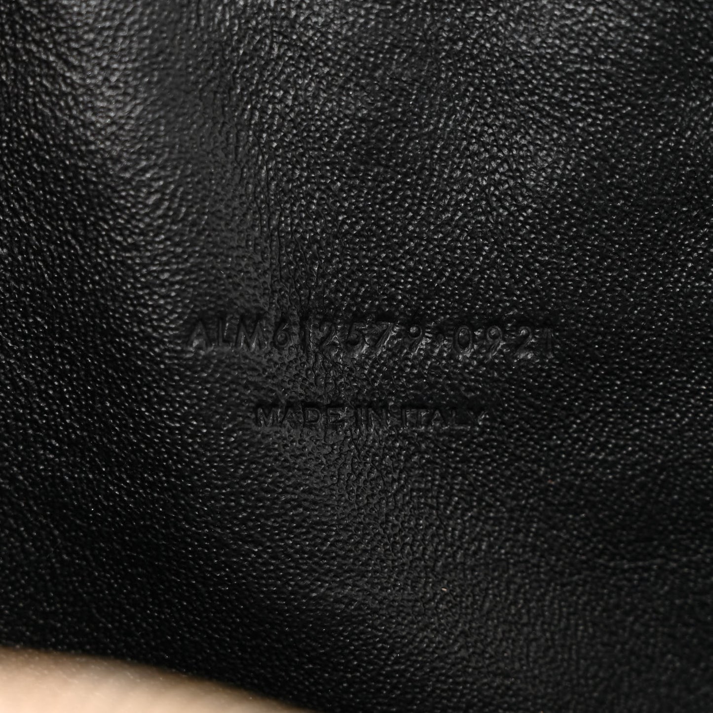 Grain De Poudre Matelasse Monogram Mini Lou Camera Bag Fog