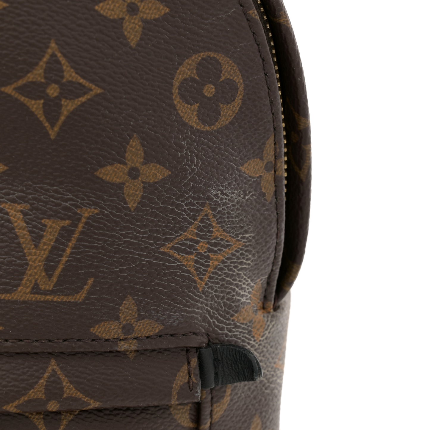 Monogram Palm Springs Backpack PM