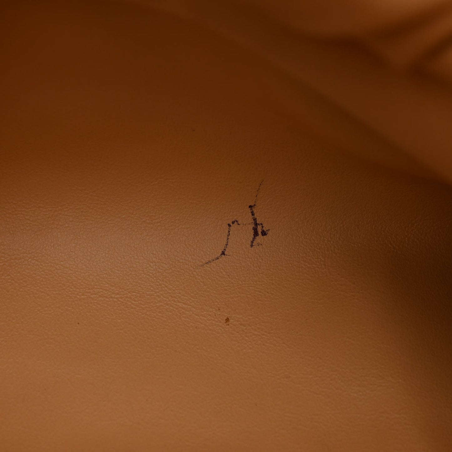 Calfskin The Pouch Chain Almond
