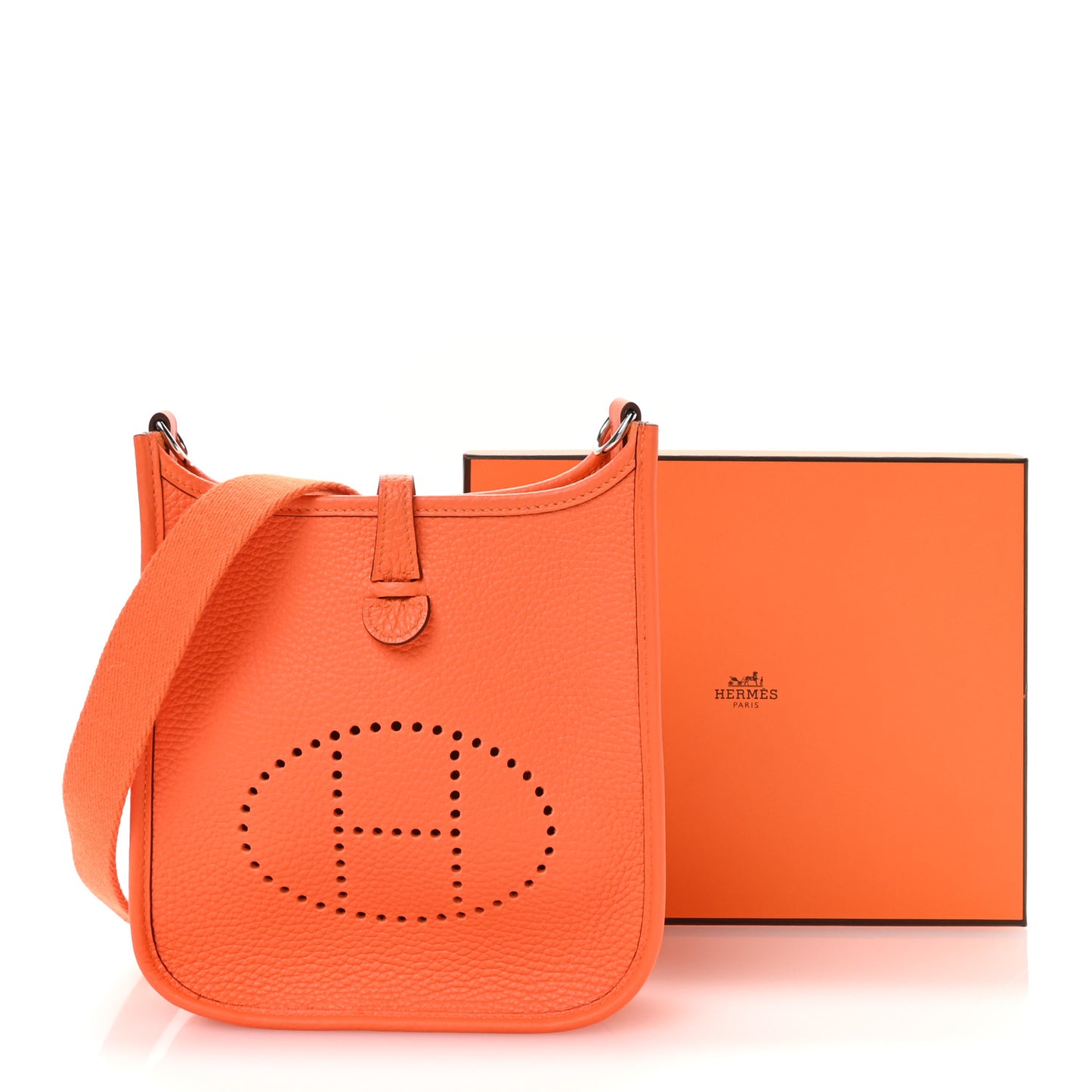Taurillon Clemence Evelyne TPM Orange