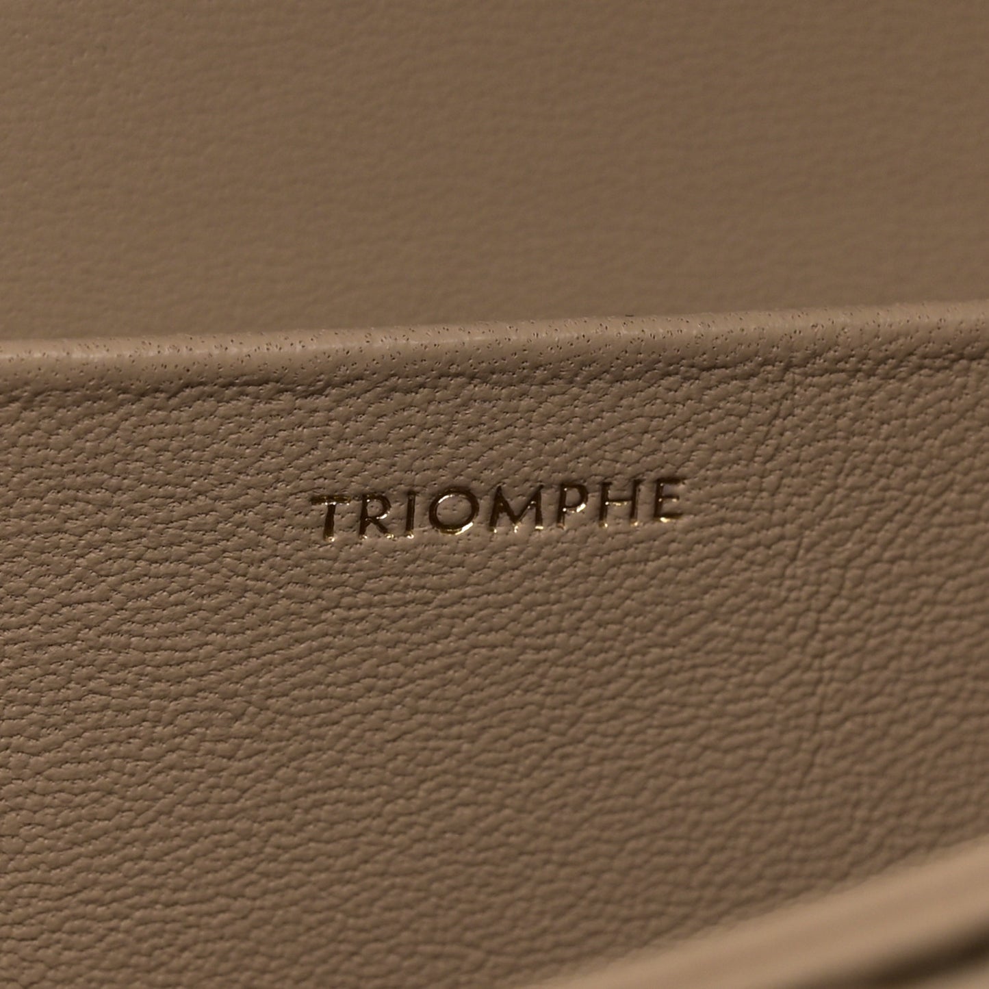 Shiny Calfskin Medium Triomphe Nude