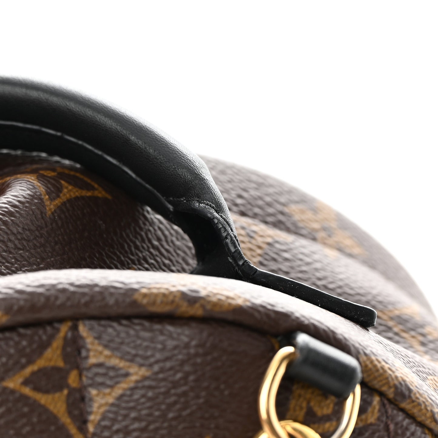 Monogram Palm Springs Backpack Mini