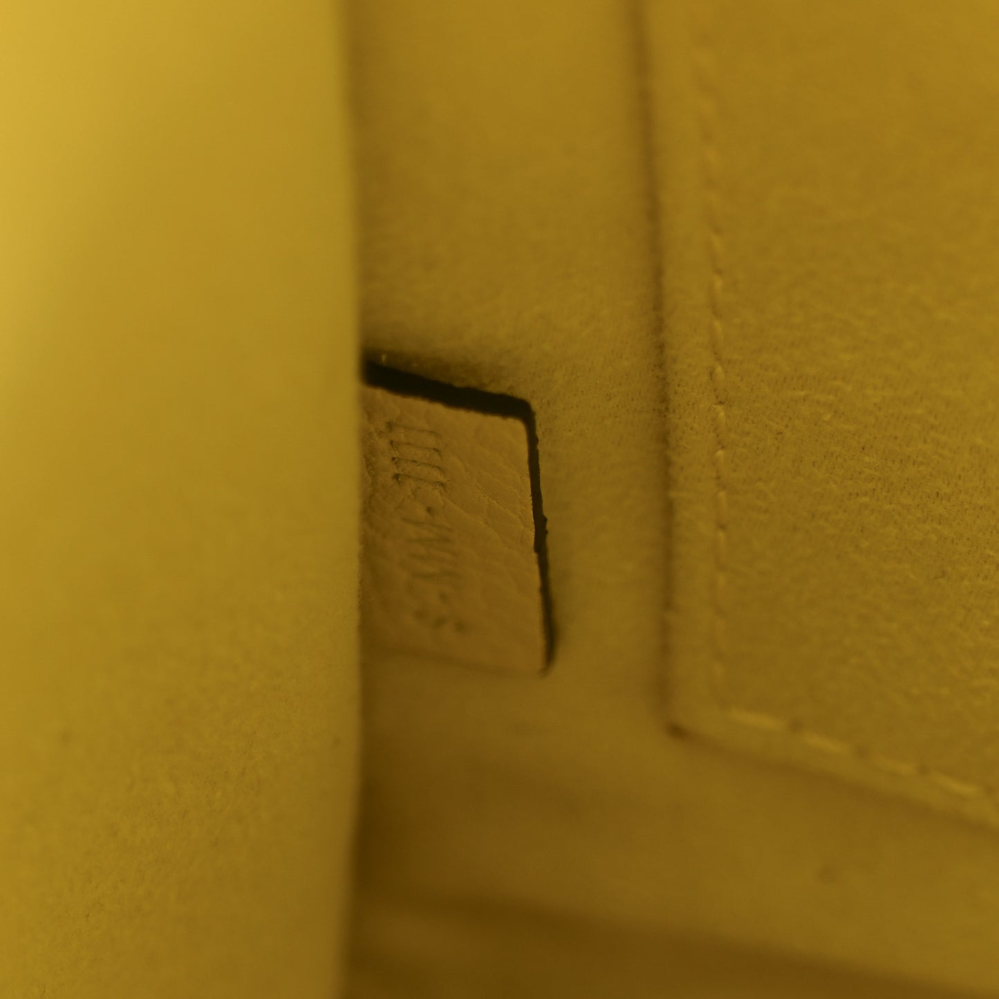 Drummed Calfskin Nano Luggage Citron