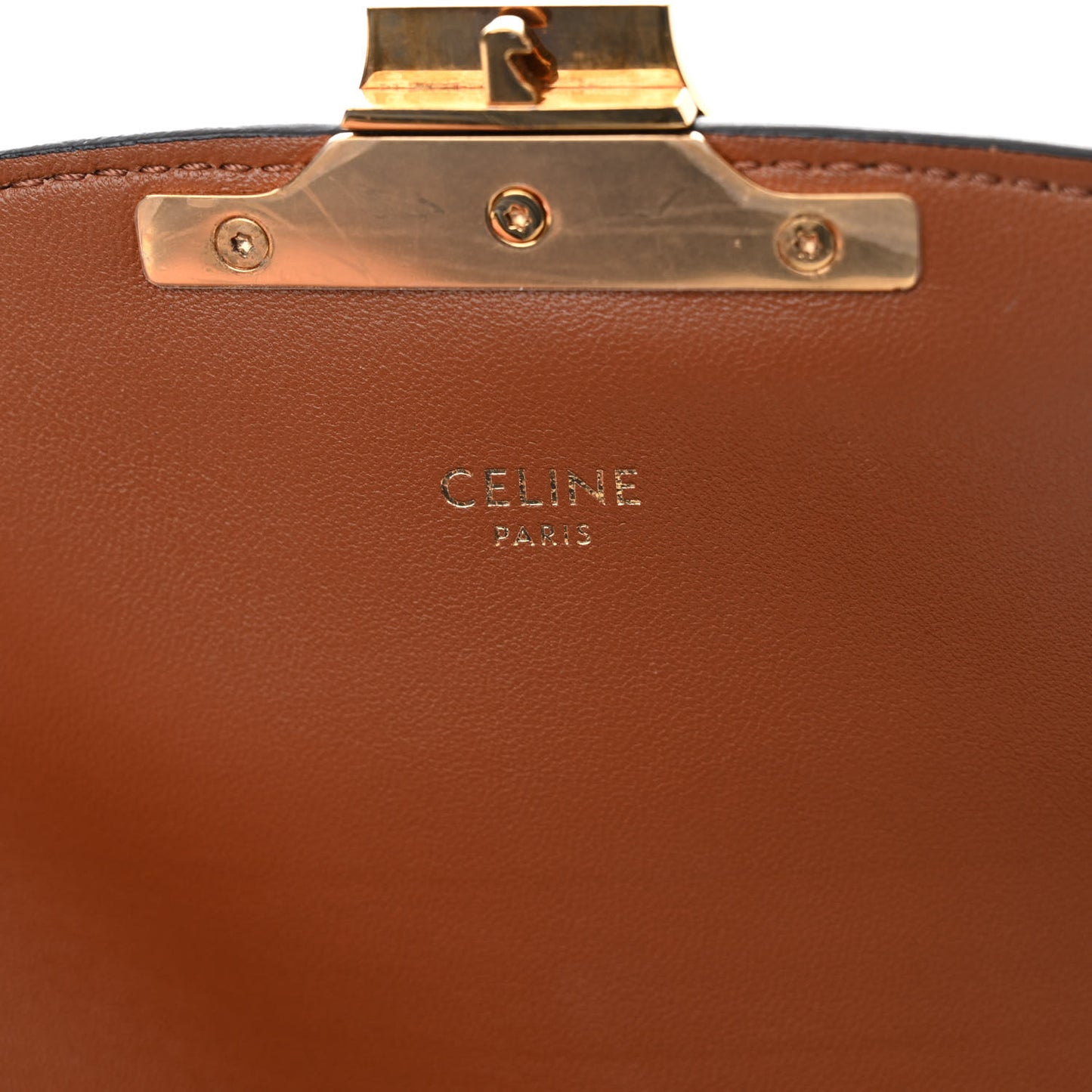 Calfskin Triomphe Canvas Teen Triomphe Bag Tan