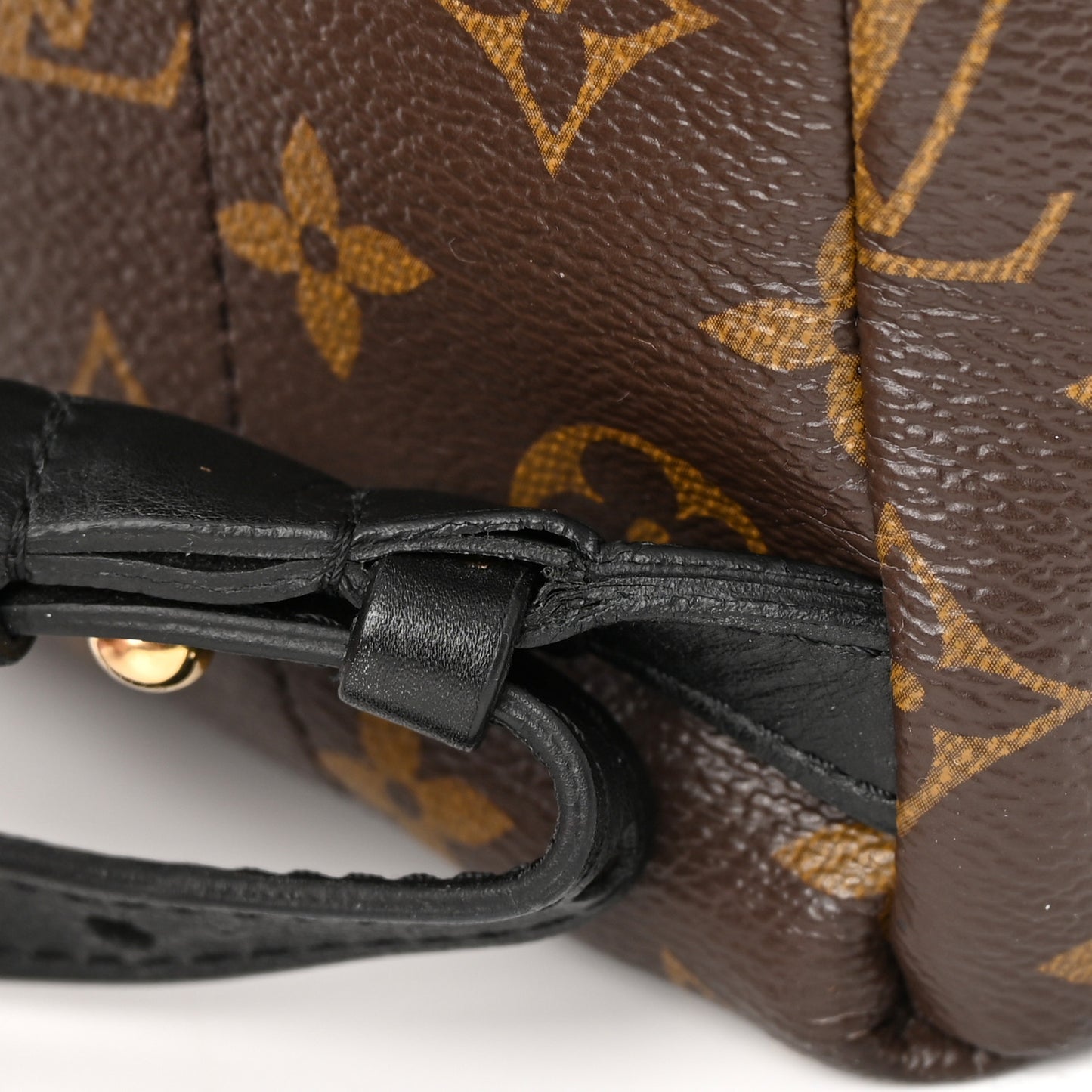 Monogram Palm Springs Backpack PM