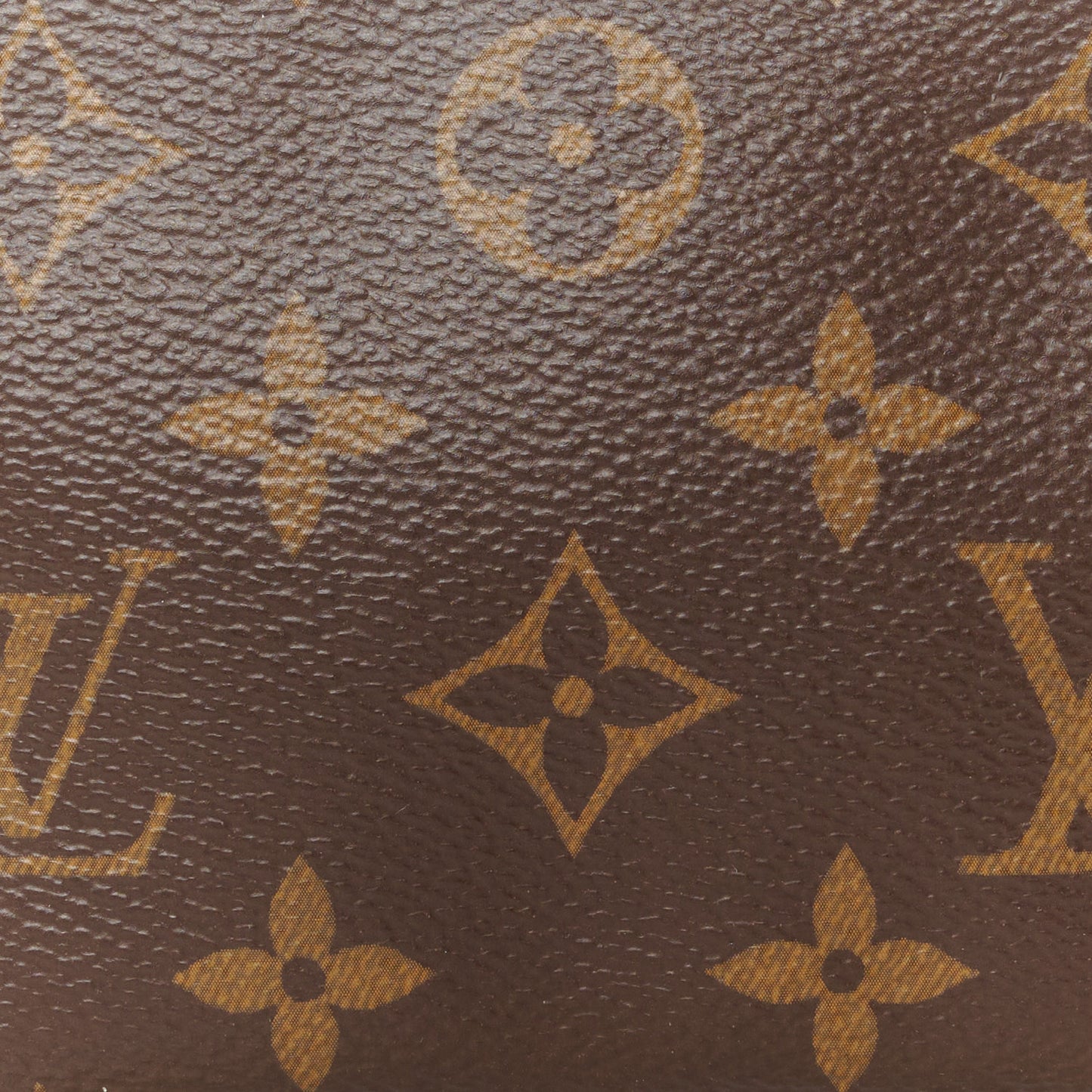 Monogram Mini Pochette Accessories