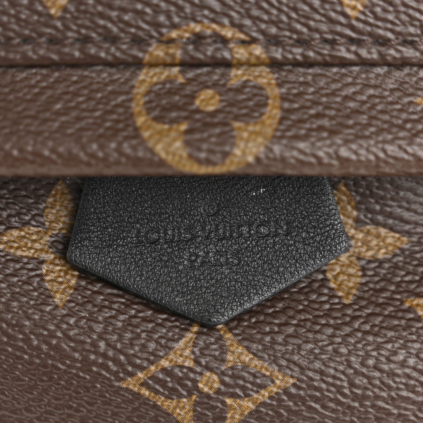 Monogram Palm Springs Backpack Mini