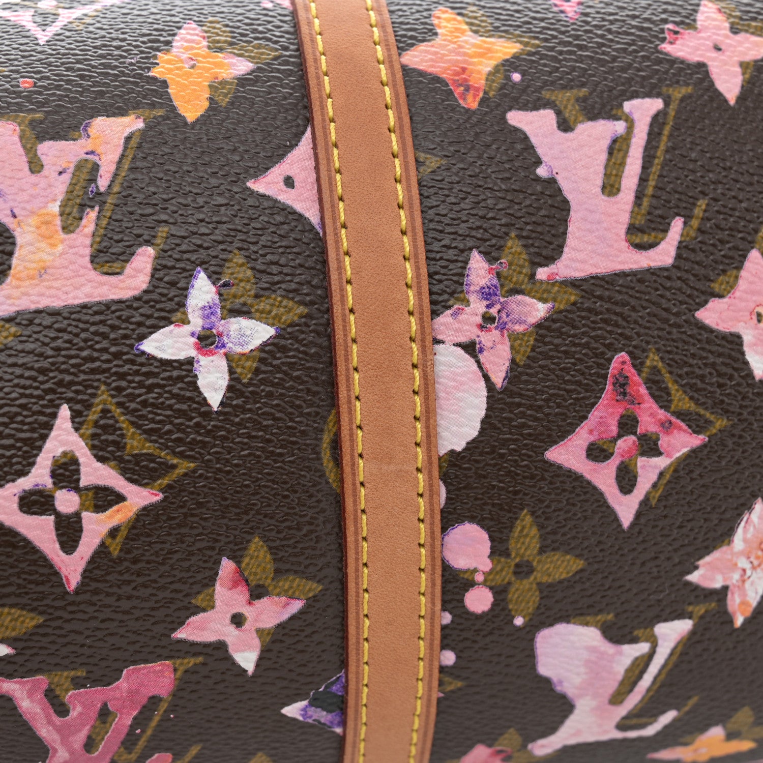 Louis Vuitton Watercolor Aquarelle Papillon 11 of 11