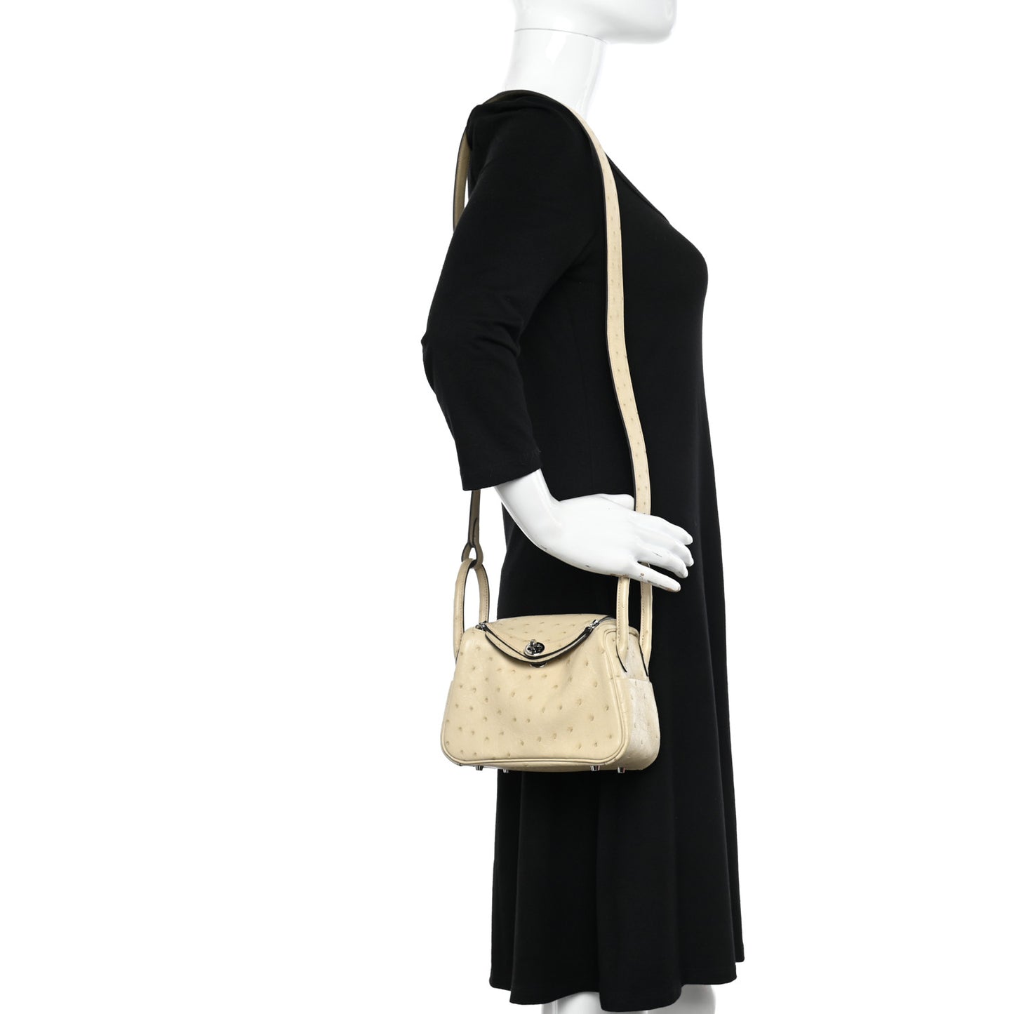 Ostrich Mini Lindy 20 Nata
