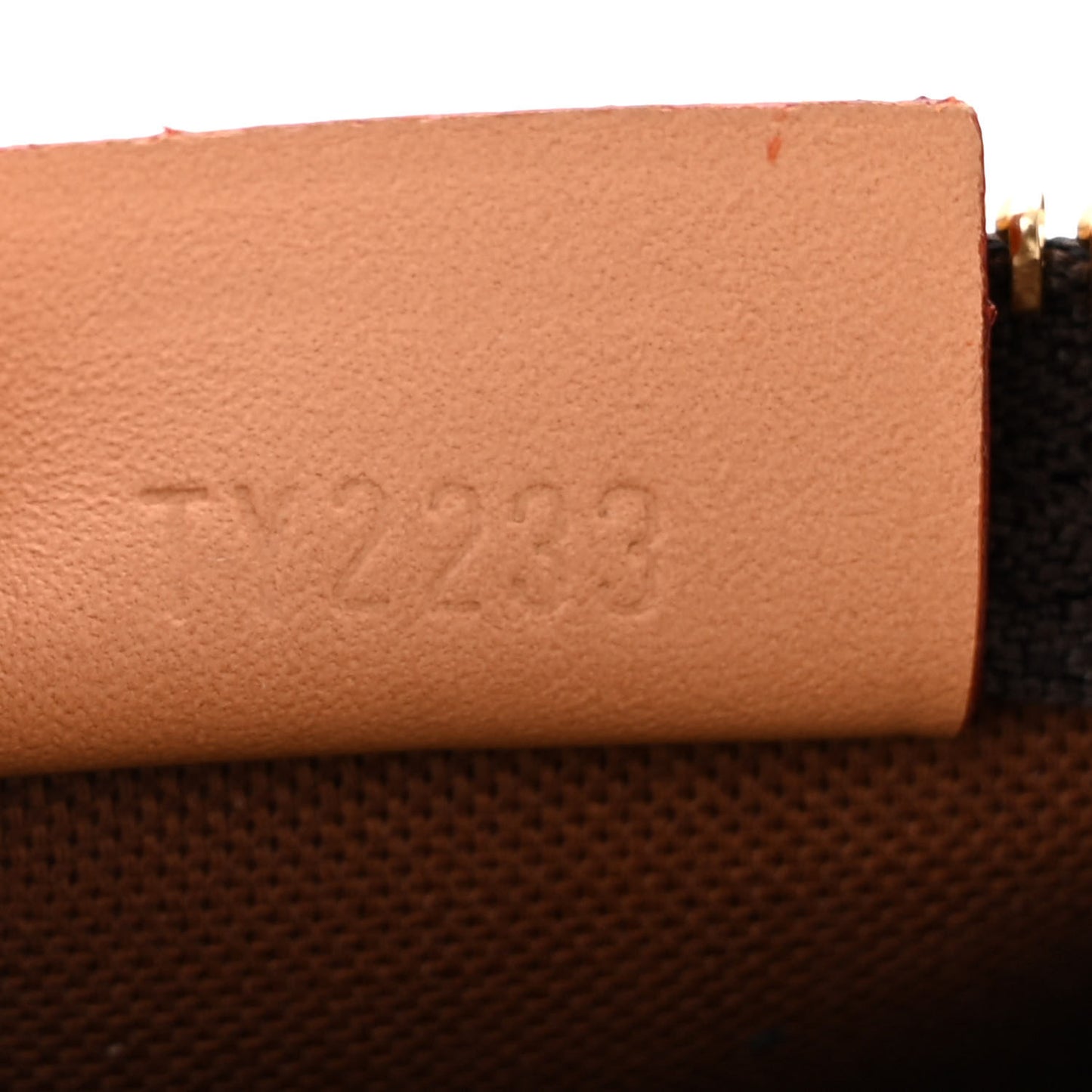 Monogram Nano Speedy Bandouliere