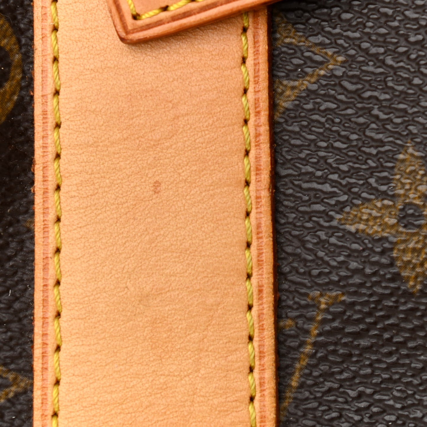 Monogram Carryall