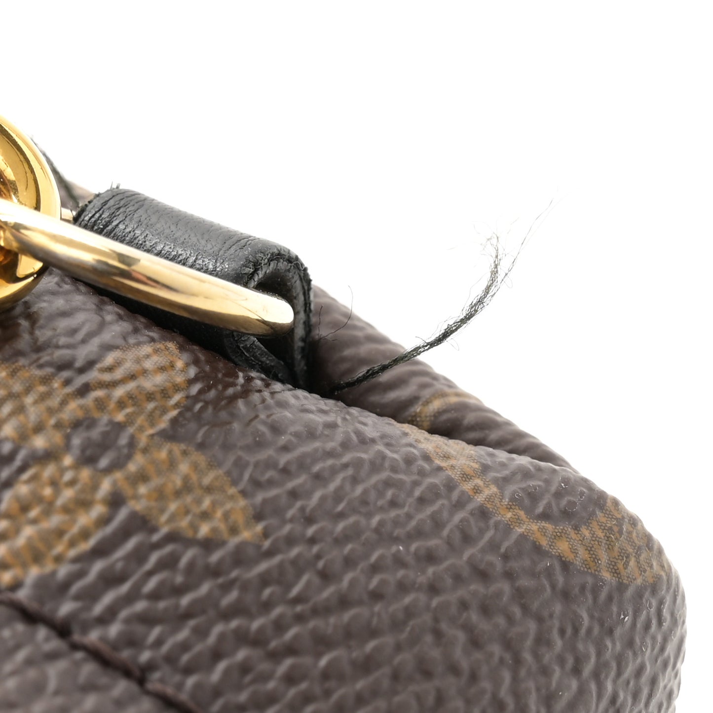 Monogram Palm Springs Backpack Mini
