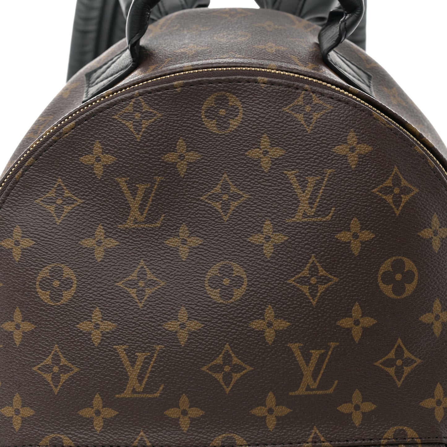 Monogram Palm Springs Backpack MM