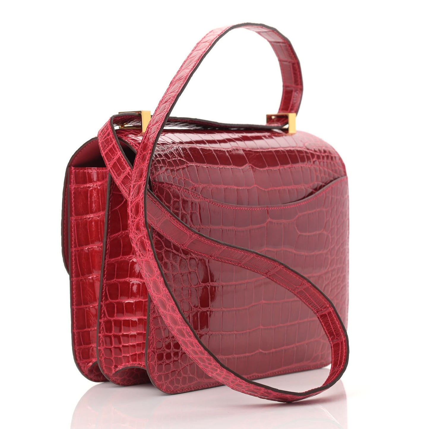 Shiny Alligator Constance 24 Braise