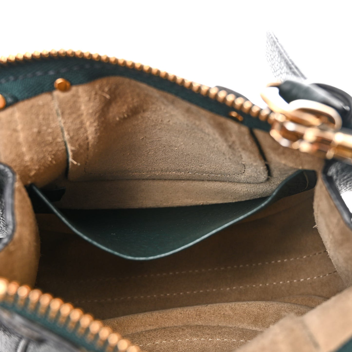 Grained Calfskin Nano Hayley Hobo Rainforest