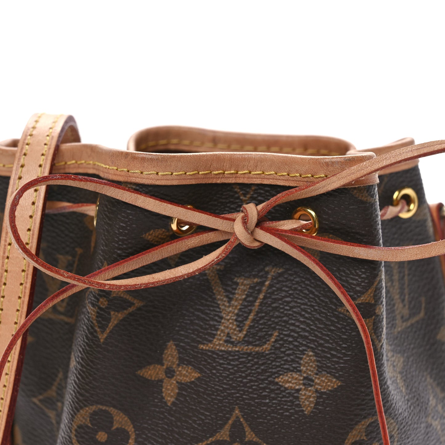 Monogram Nano Noe