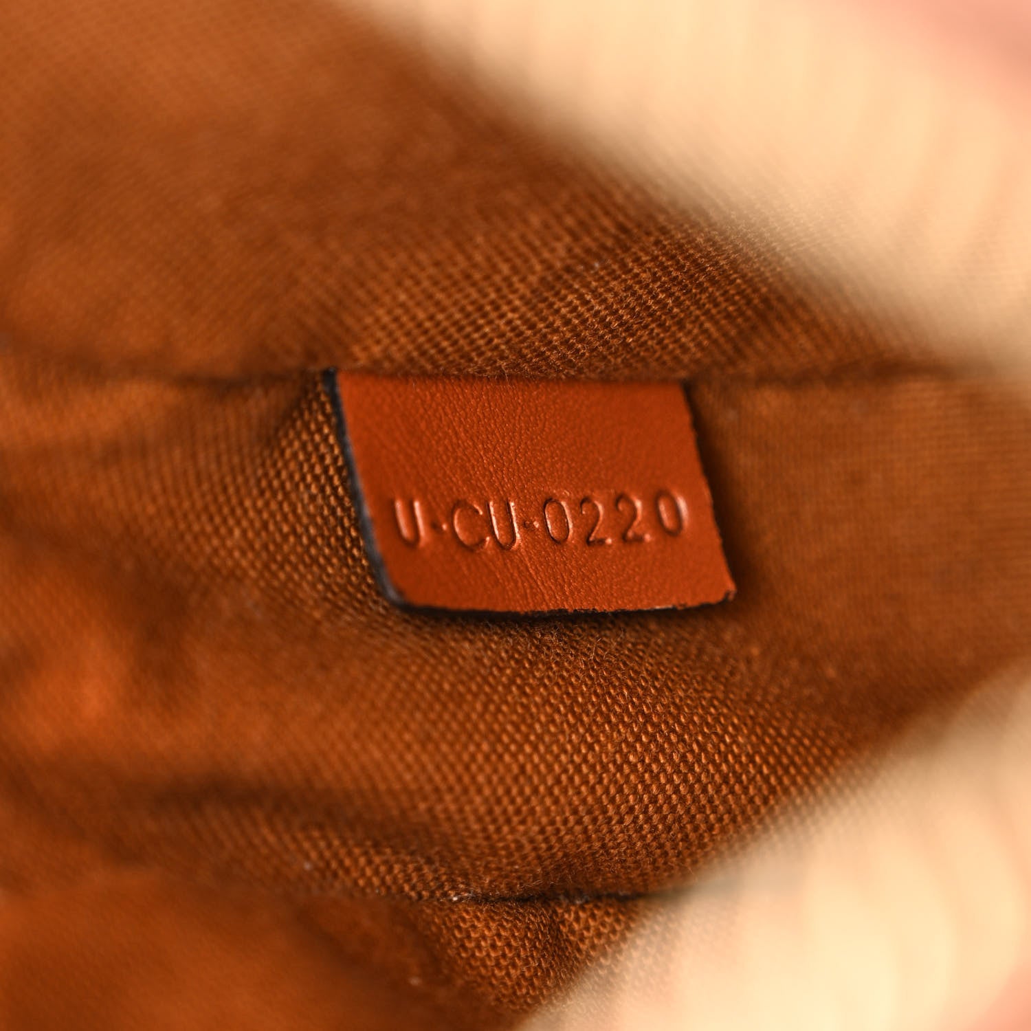 Celine Triomphe Canvas Small Camera Bag Tan 7 of 11