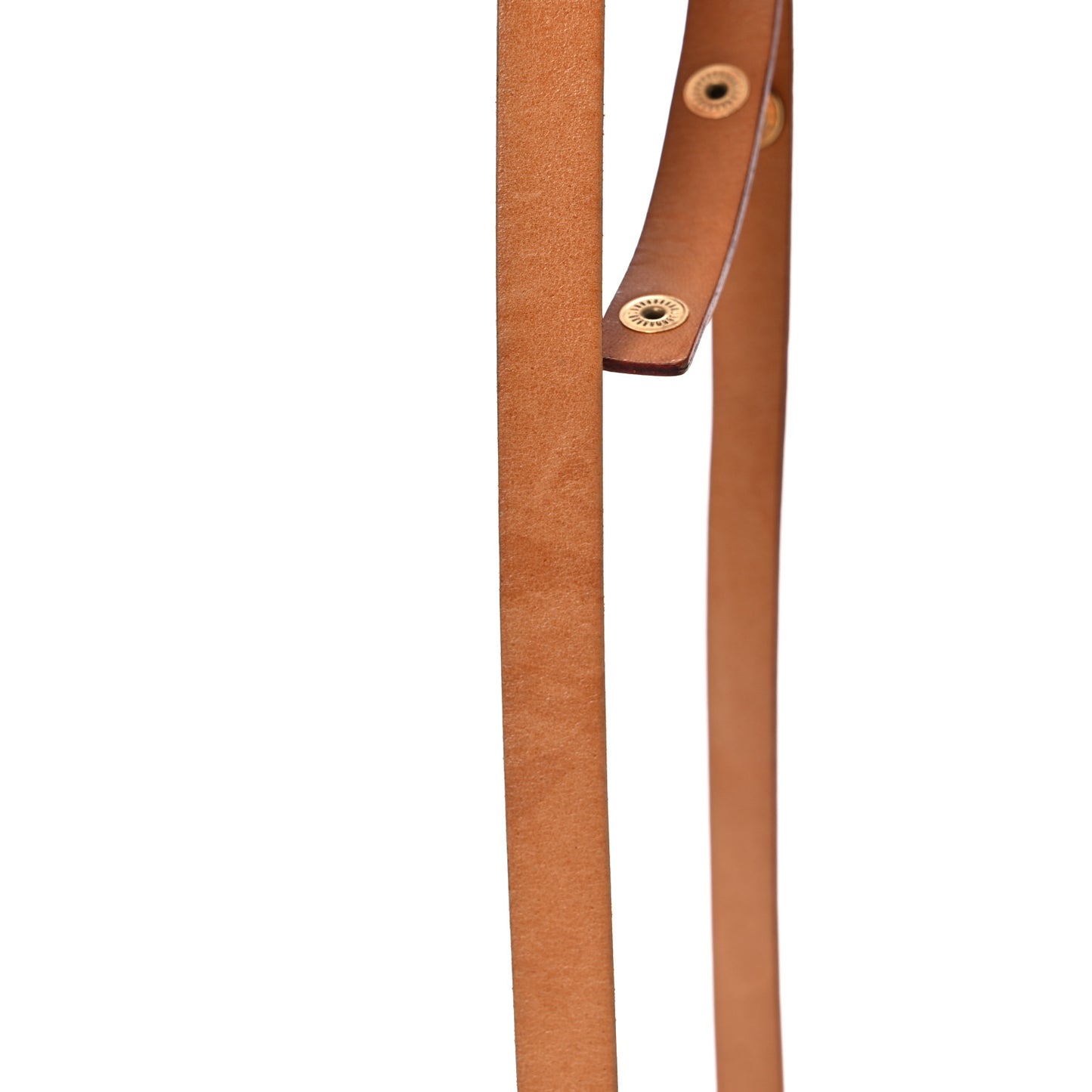 Monogram Pochette Florentine XS