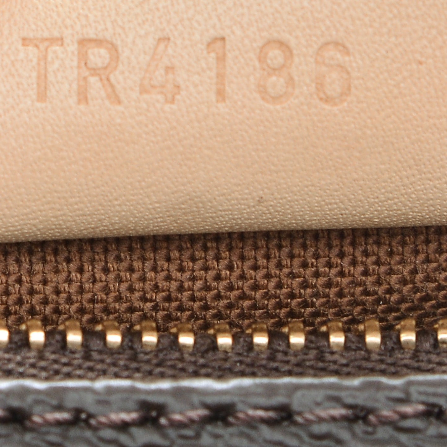 Monogram Nano Speedy