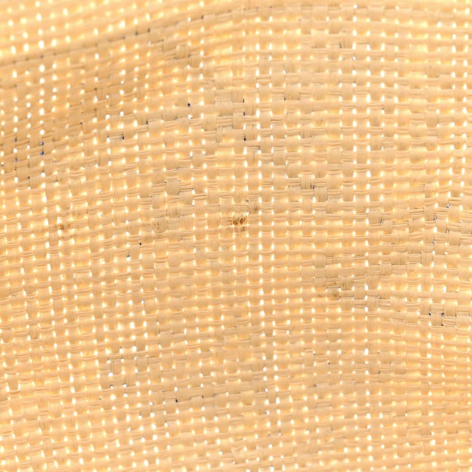 Christian Dior Straw Dioriviera Tote Blue 10 of 12