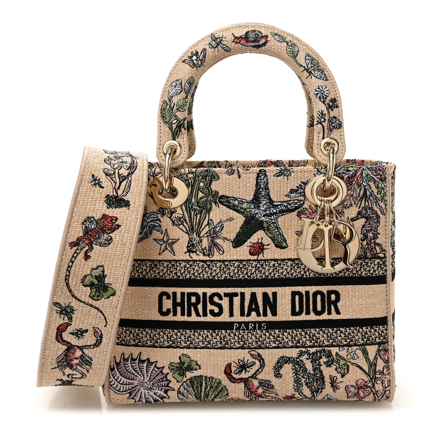 Christian Dior Canvas Cabinet De Curiosites Embroidered Medium