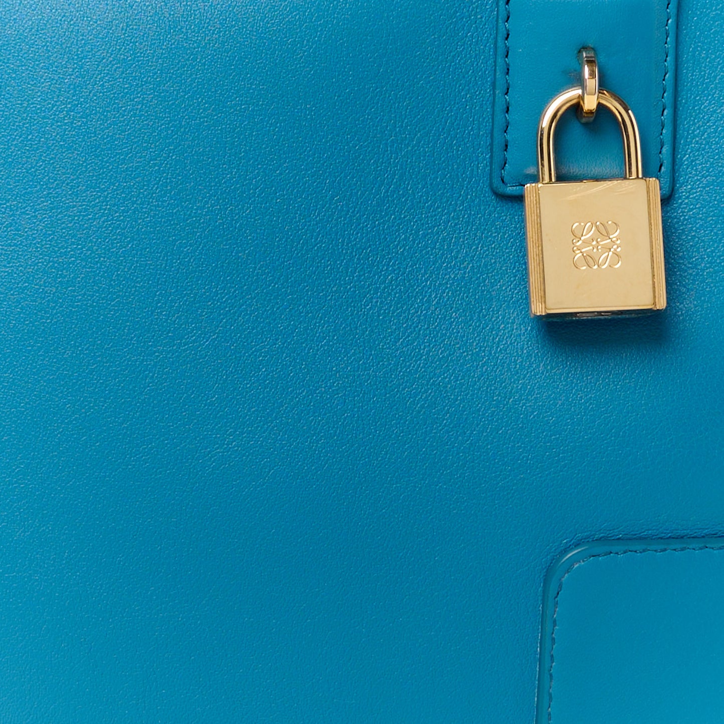 Calfskin Amazona 19 Lagoon Blue