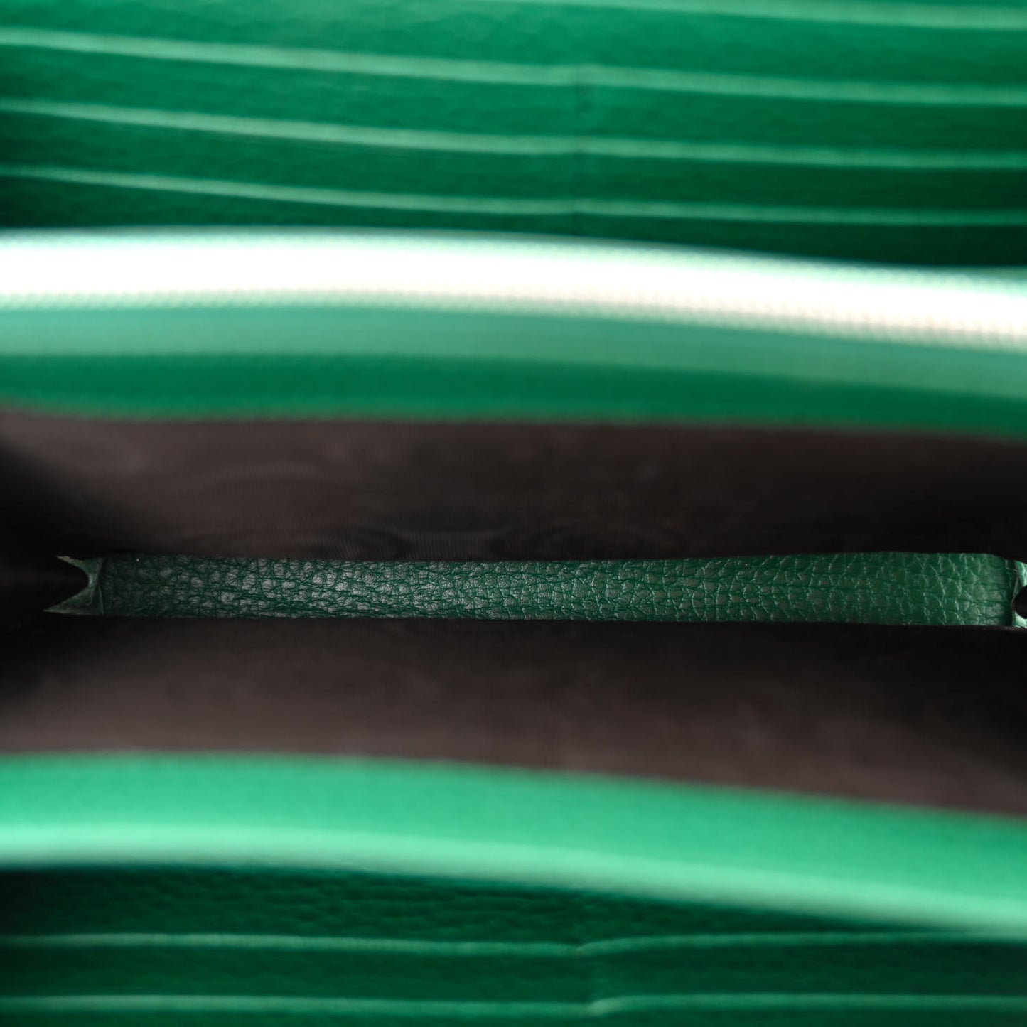 Calfskin Mini Dionysus Chain Wallet Emerald