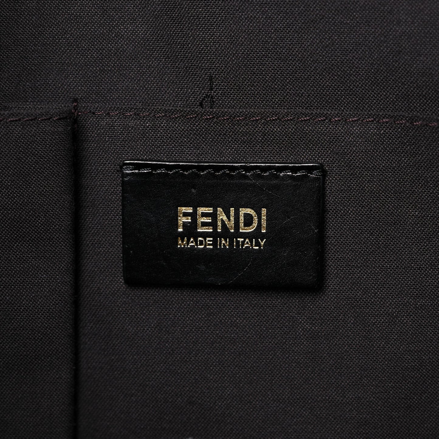 Pebbled Calfskin Large Chameleon Tote Black