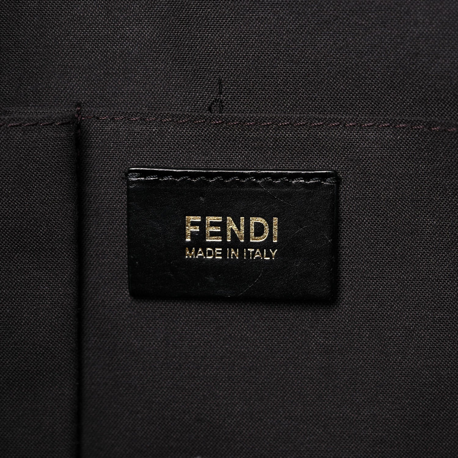 Fendi Pebbled Calfskin Large Chameleon Tote Black 6 of 13