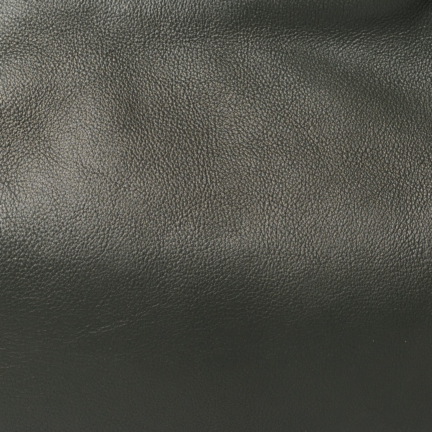 Grained Calfskin Small Everyday Shoulder Bag Olive