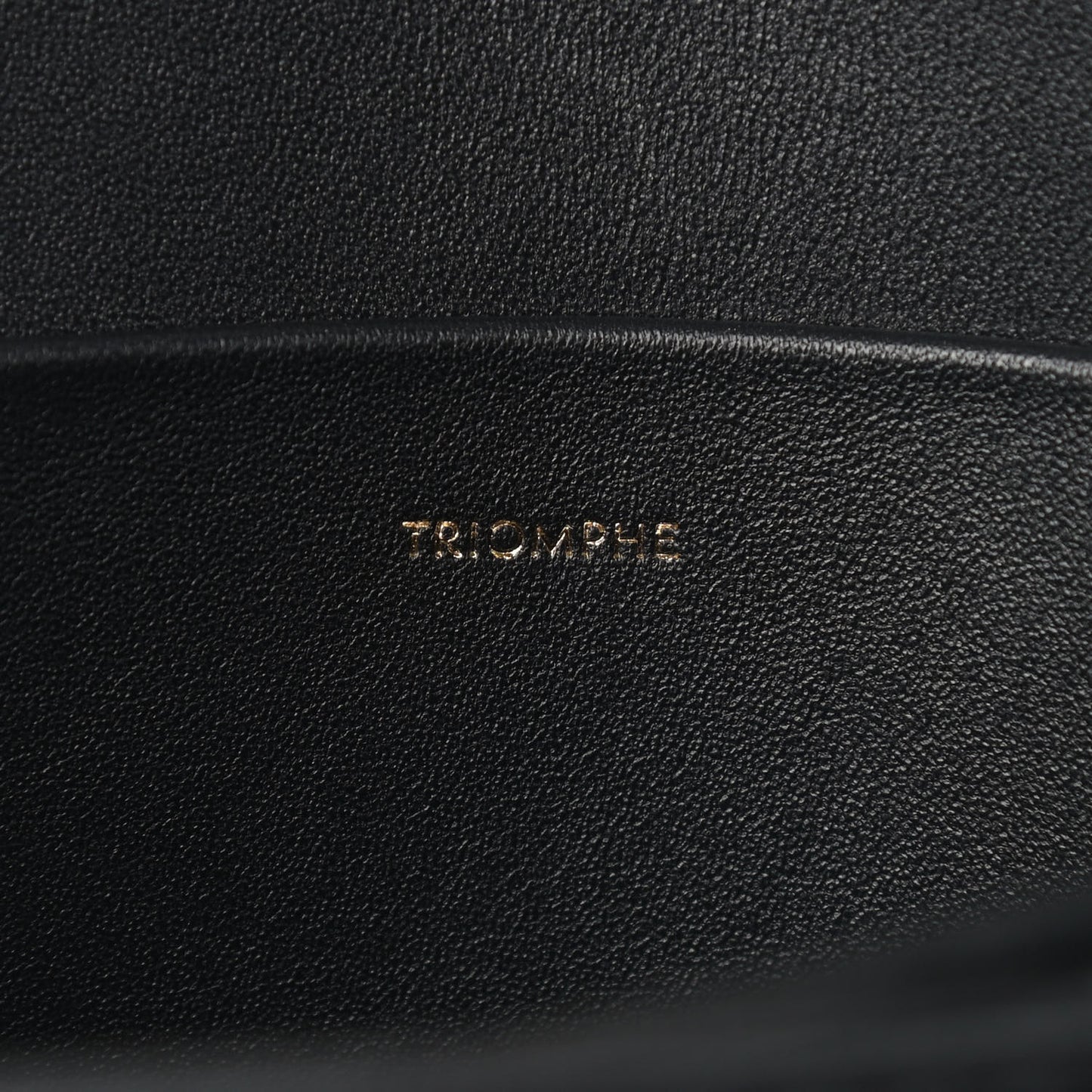 Shiny Calfskin Medium Triomphe Black