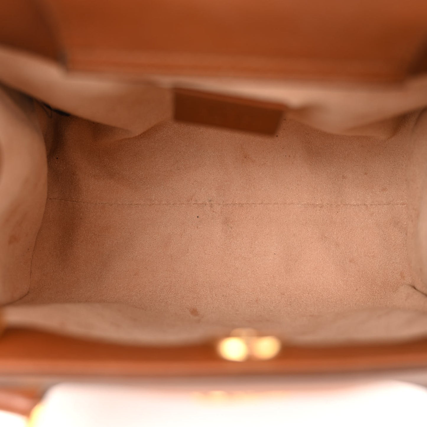 Wonka Grain Calfskin Mini Diana Tote Bag Cuir