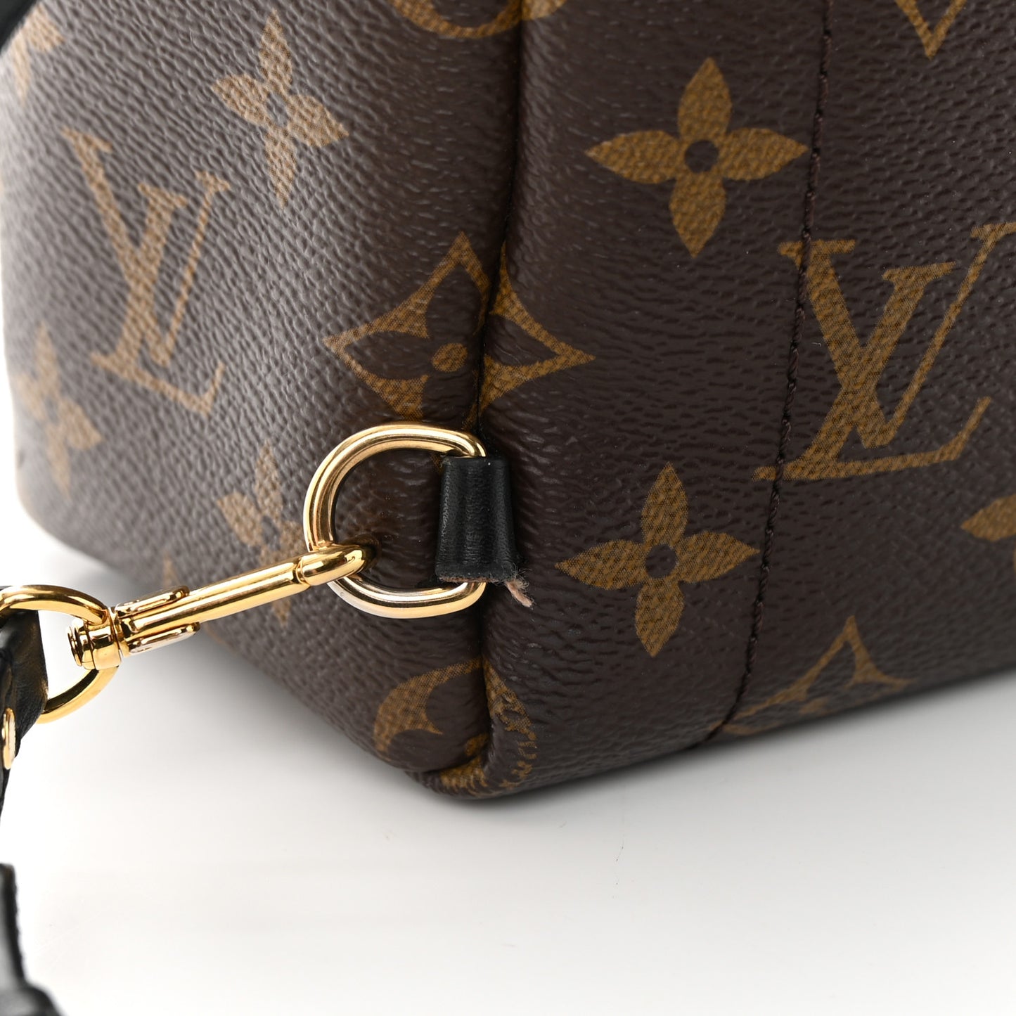 Monogram Palm Springs Backpack Mini