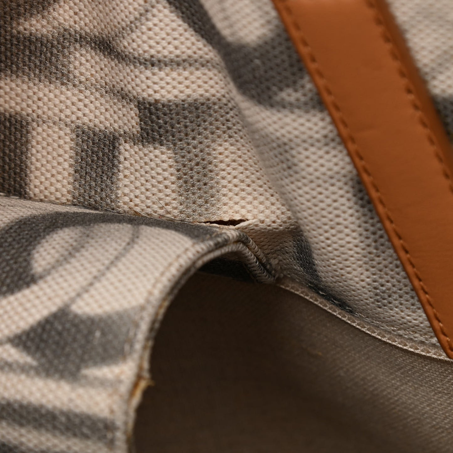 Canvas Large Iliad Shopping Tote Beige
