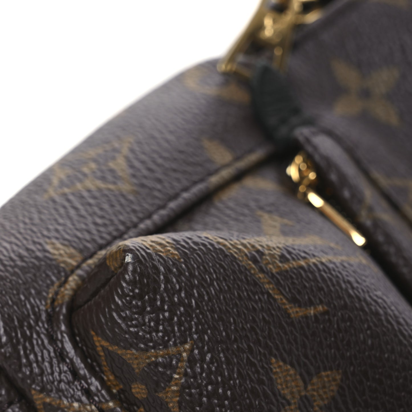 Monogram Palm Springs Backpack Mini