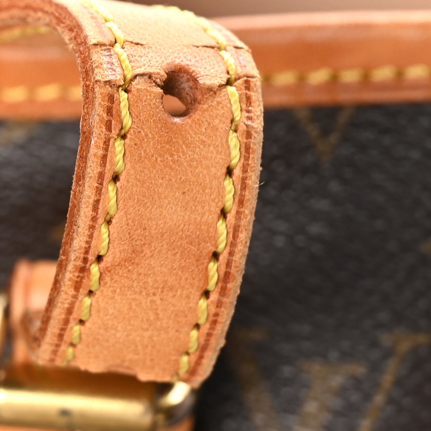 Monogram Petit Bucket 23