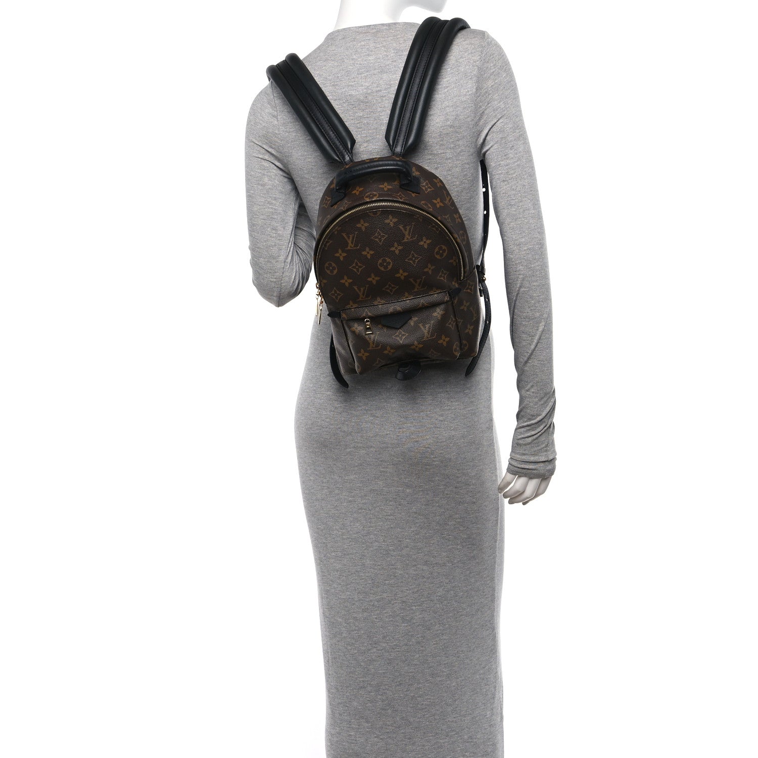 Louis Vuitton Monogram Palm Springs Backpack PM 2 of 11