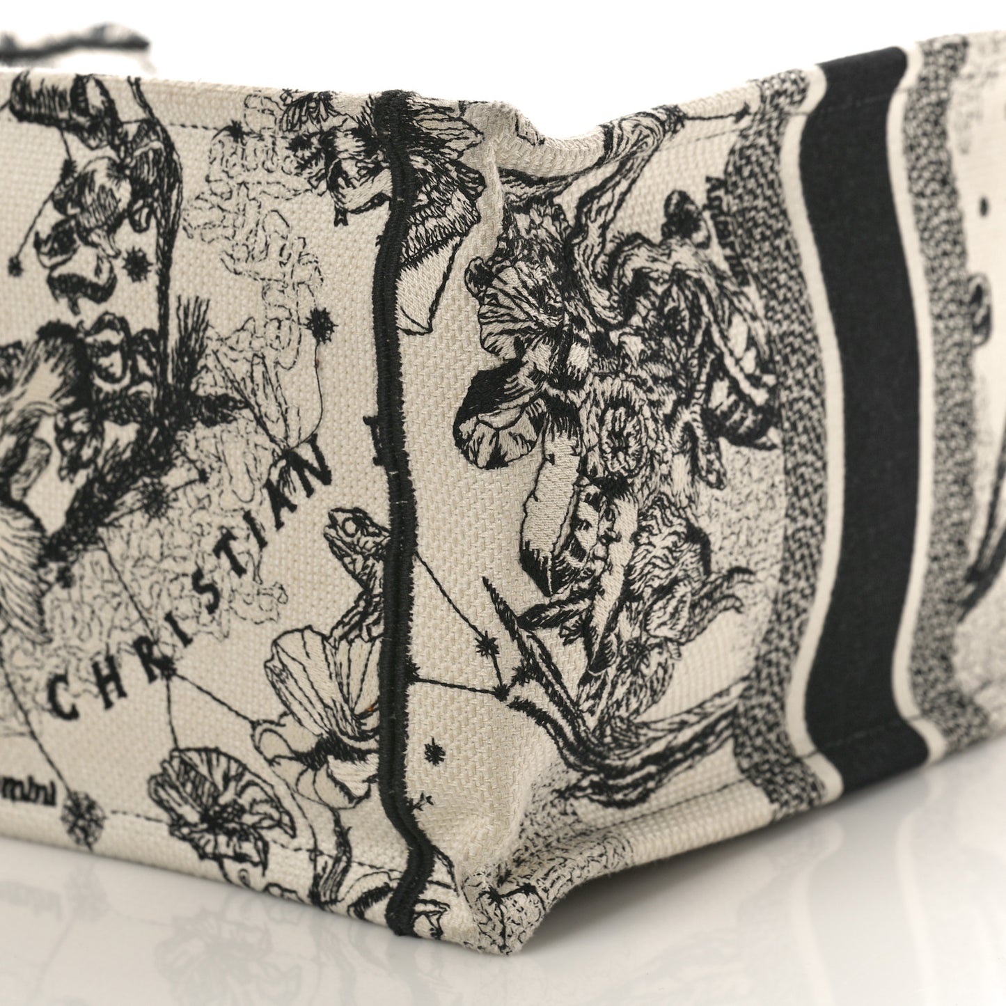 Canvas Embroidered Small Zodiac Toile De Jouy Book Tote Latte